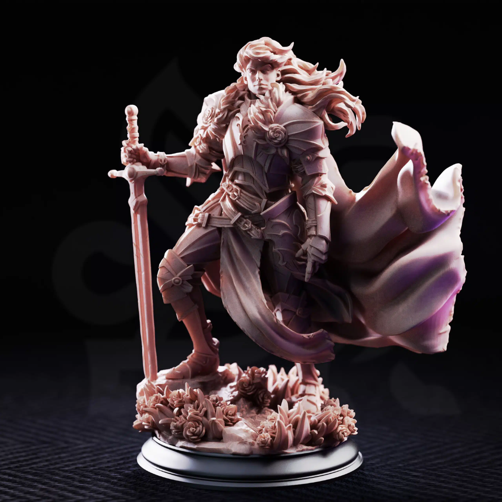 Prince Charming Noble Knight - 3D Printed Fighter Miniature