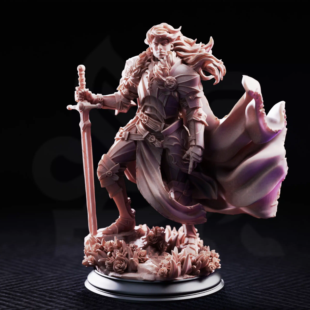 Prince Charming Noble Knight - 3D Printed Fighter Miniature
